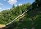 Im Birkenwald