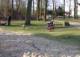 Gertrudenpark