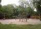 Bunter Garten