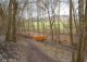 Waldstück an der Grone