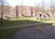 Kamel-Spielplatz