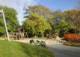 Schönauer Park