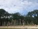 Kletter- und Sportspielplatz am Swarte-Moor-See
