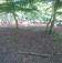 Waldspielplatz