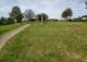 An der Borg