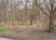 Großes Waldstück