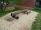 Spielplatz Hinter Rauhbuchschule in Heidenheim an der Brenz