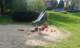 Foto: Spielplatz Malvenhang/Narzissenweg in Essen