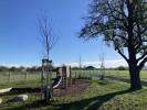 Foto: Spielplatz Veilchenstraße in Böblingen