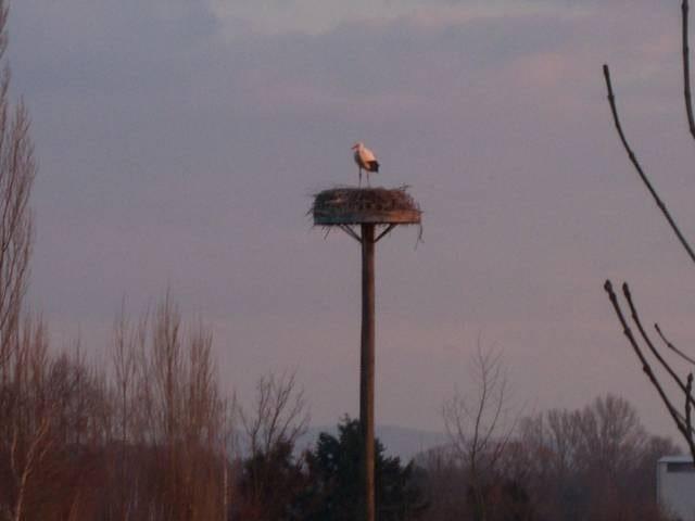 Foto /pics/9645-100_3794.jpg