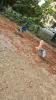 Spielplatz Urdenbacher Dorfstraße  in Düsseldorf