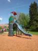 Bild 6446