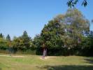 Bild 8211