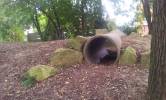 Bild 8319