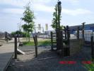 Bild 919