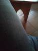 Bild 27509