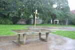 Bild 16310