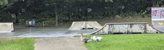 Foto von Skateranlage im Aktivpark Phönix