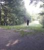 Foto von Rodelberg im Stadtpark Burgdorf