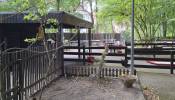 Spielplatz Minigolf Eilenriede in Hannover