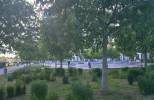 Spielplatz Skatepark Osthafen in Frankfurt am Main