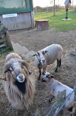 Foto /pics/10142-dsc_6893.jpg