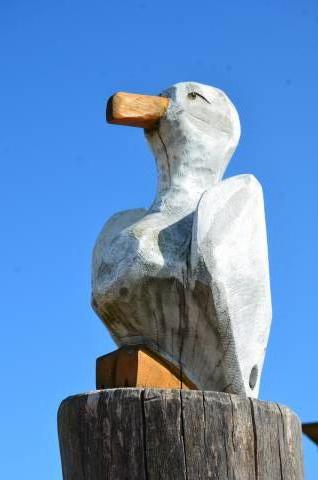 Foto /pics/10145-dsc_6981.jpg