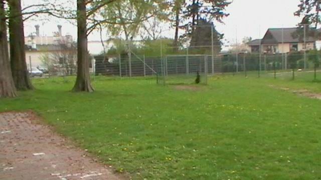 Foto /pics/10277-imga0851.jpg