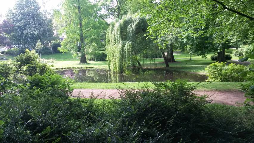 Foto /pics/10510-20140504_111427.jpg