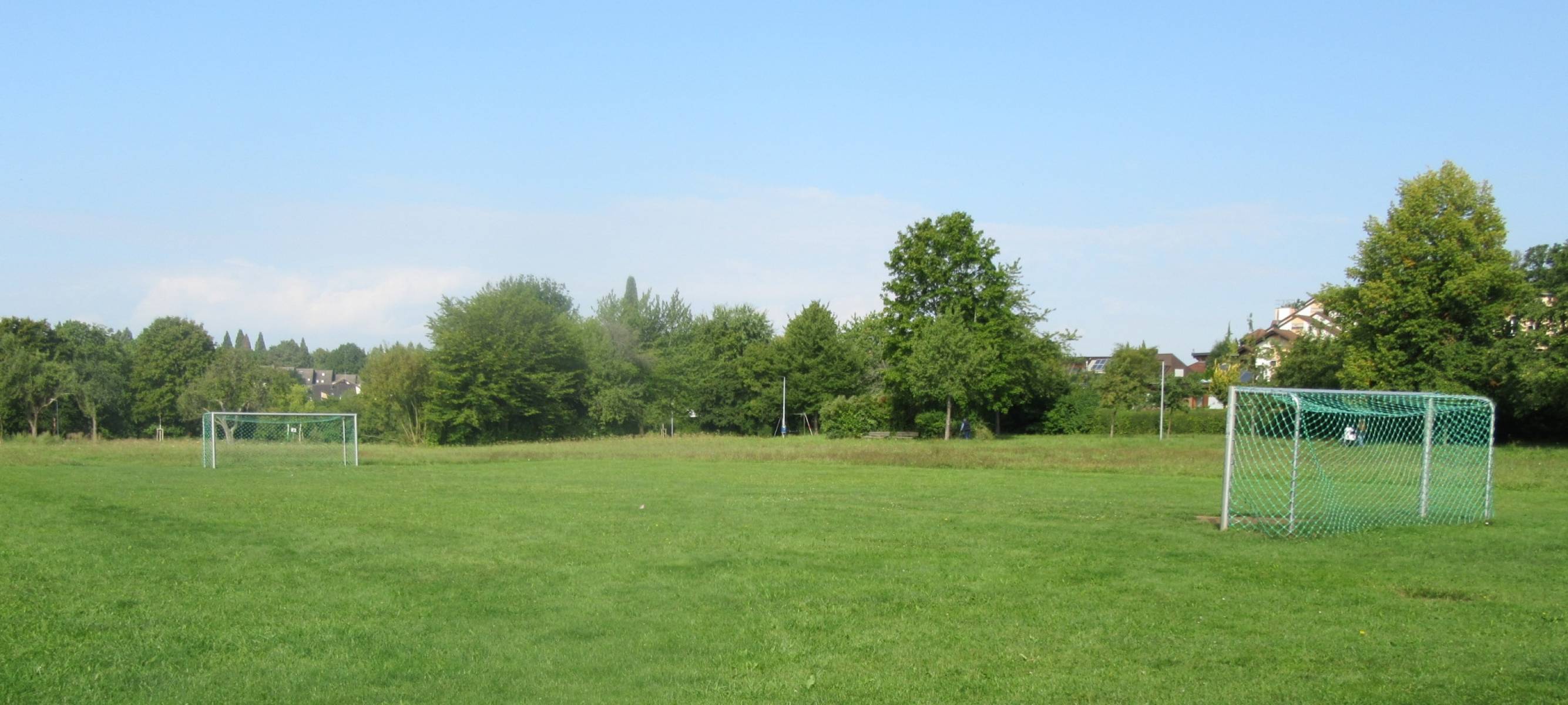 Foto /pics/10811-bpl_im_nebelloch_rasen.jpg