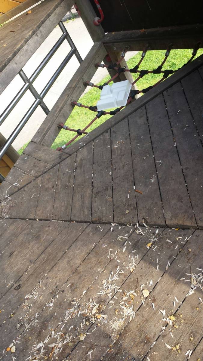 Foto /pics/11131-img-20160826-wa0011.jpg