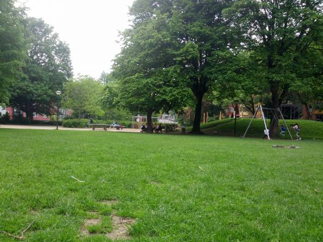 Foto /pics/11211-1398950582471.jpg