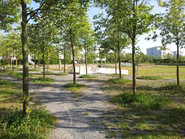 Foto /pics/1143-20120819_181727.jpg