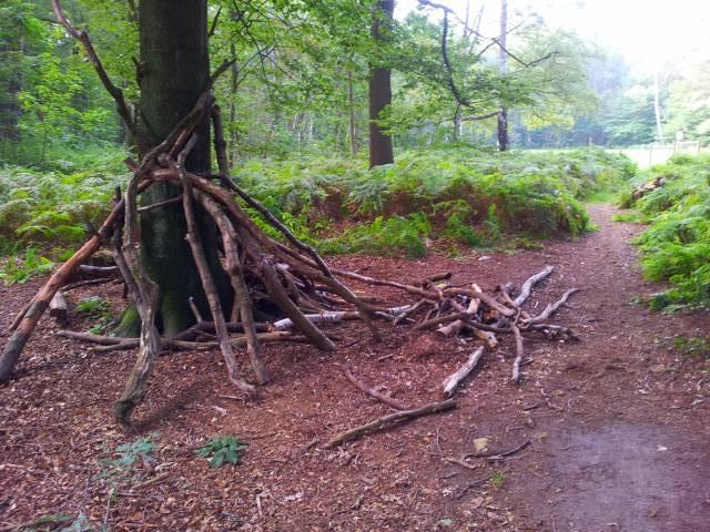 Foto /pics/1169-20120829_092701.jpg