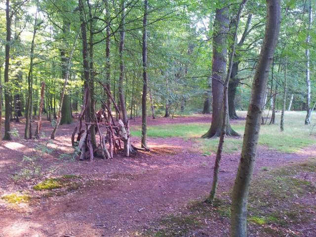 Foto /pics/1169-20120829_092938.jpg