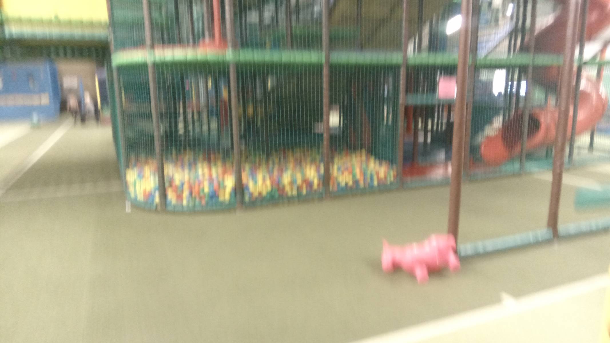 Foto /pics/11735-2017-07-22_16.42.16.jpg