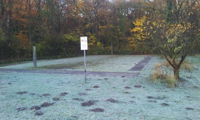 Foto /pics/1253-2012-11-13_08.41.19.jpg