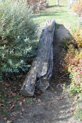 Foto /pics/12564-dscn0488.jpg