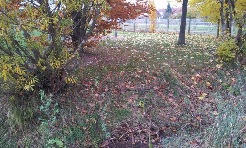 Foto /pics/13441-20121111_153533-50471536.jpg