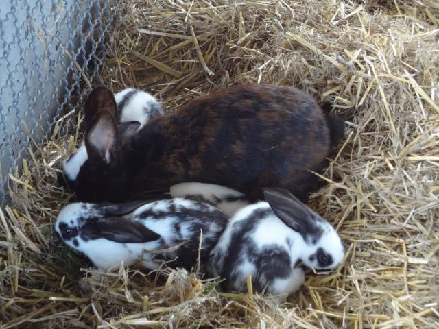 Foto /pics/13582-dsc01157.jpg