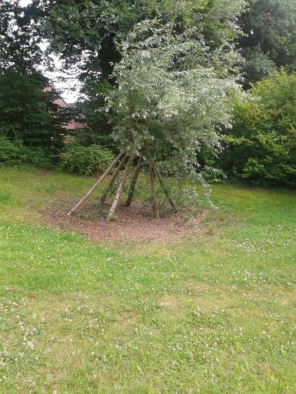 Foto /pics/13600-weiden-tipi_2016.jpg