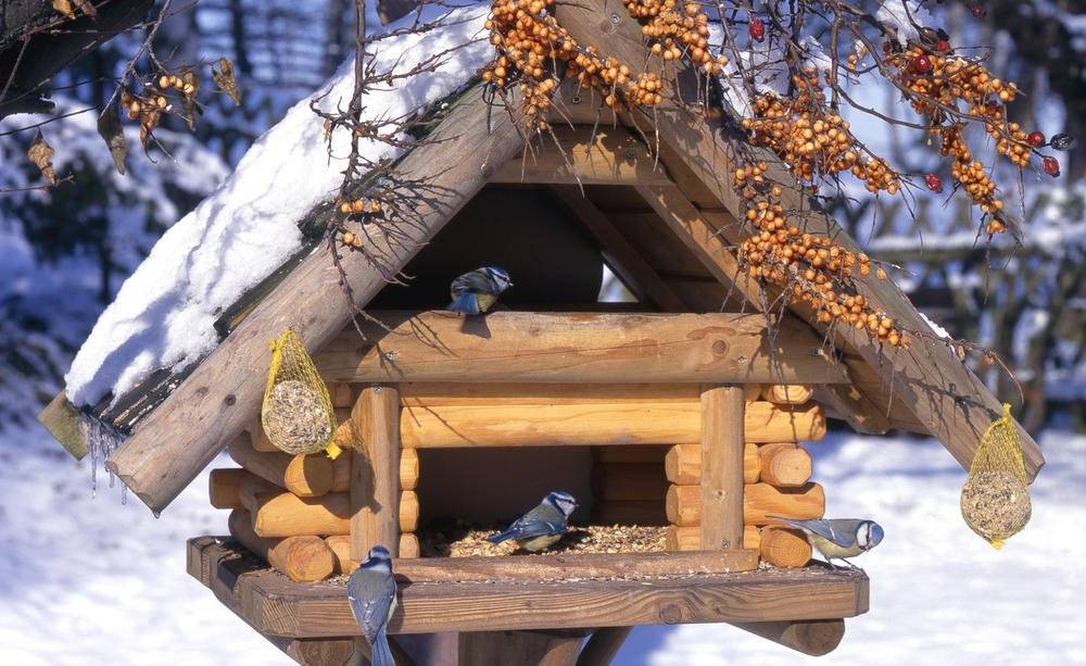 Foto /pics/16792-vogelhaus-winter-2640472-blp-fotolia_0.jpg