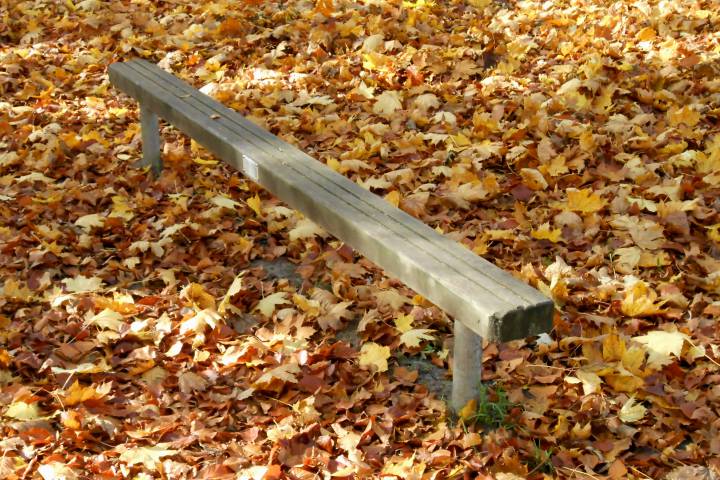 Foto /pics/17750-dscn1239.jpg