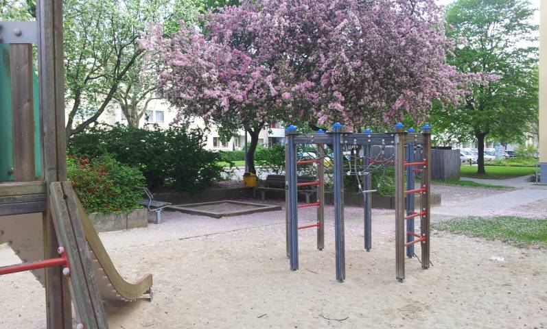 Foto /pics/17778-20130508_091152131697330.jpg