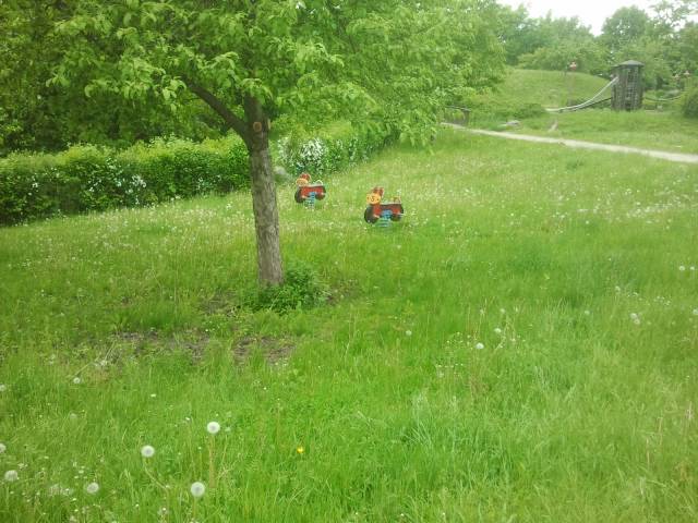 Foto /pics/18047-2013-05-21_16.16.01.jpg