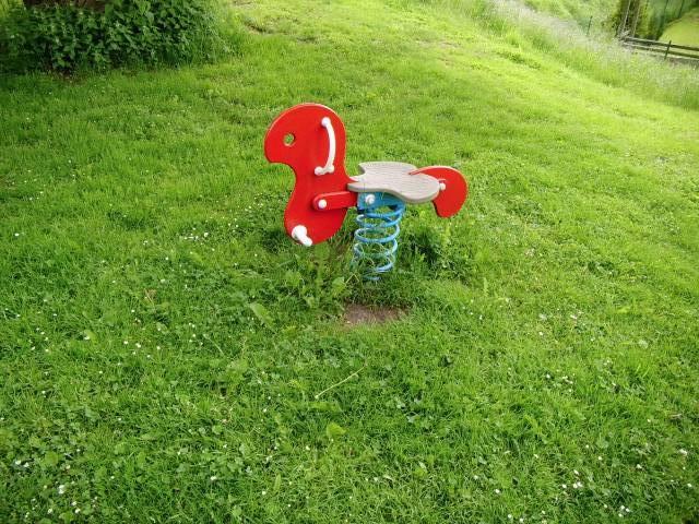 Foto /pics/18336-hann._muenden_29.05.2013_069.jpg