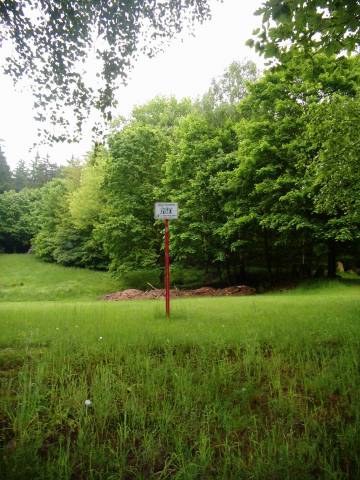 Foto /pics/18400-hann.muenden.02.06.2013_033.jpg