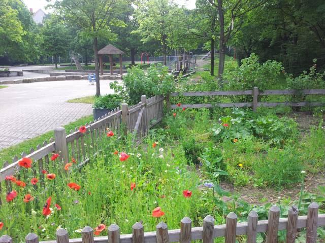 Foto /pics/19-20120612_085512.jpg