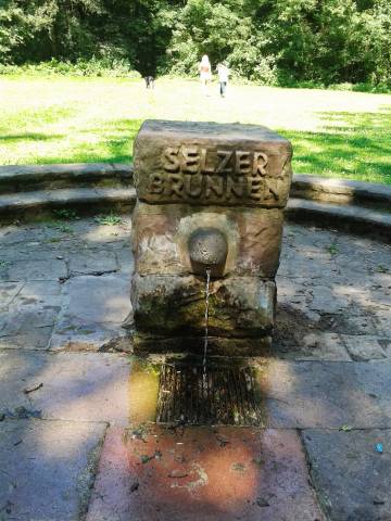 Foto /pics/19368-20130707_161306.jpg