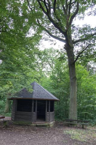 Foto /pics/20077-imgp1403.jpg